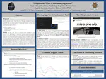 Stephen Rico presents at the 29th Annual Undergraduate Research Symposium (virtually)